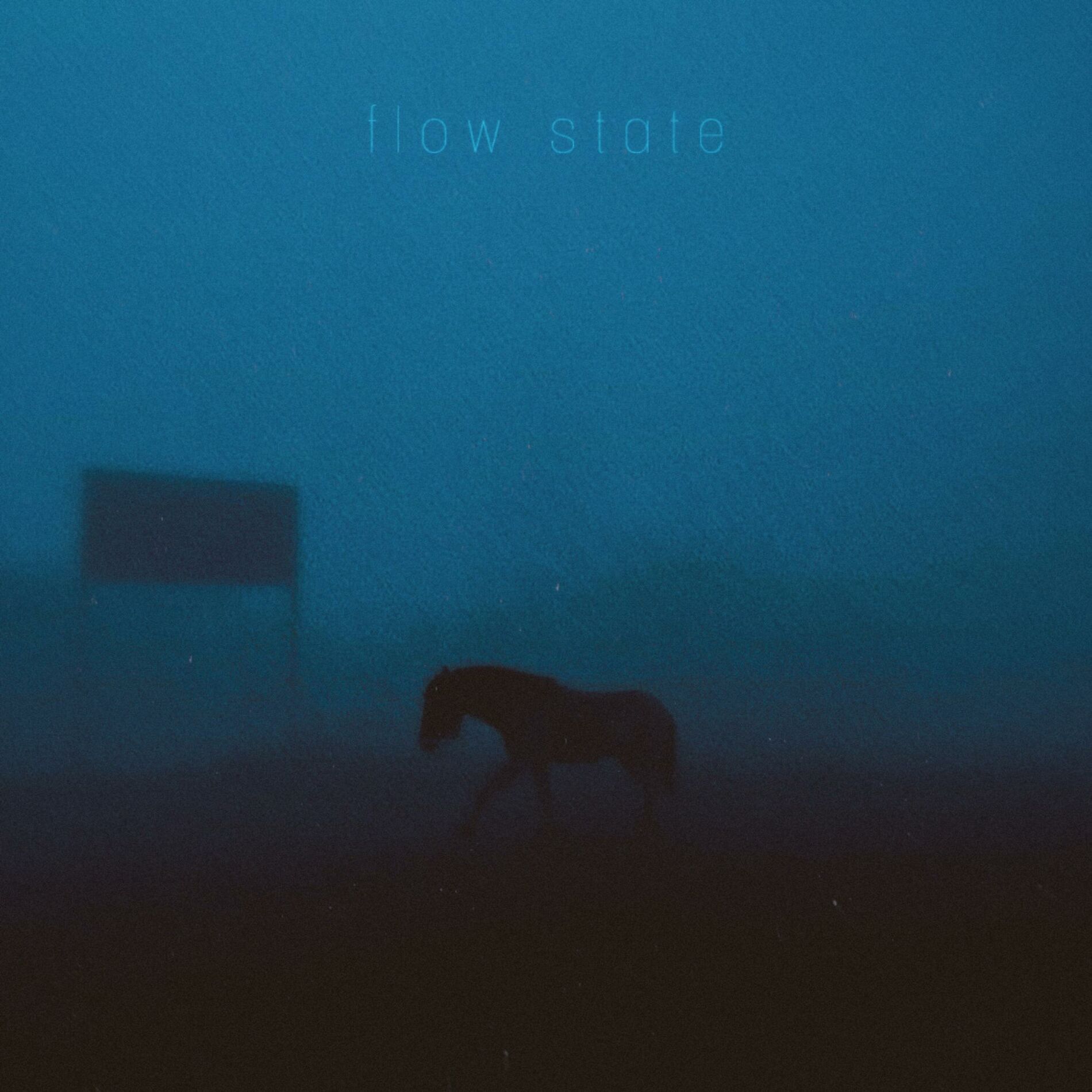Album cover of flow state
