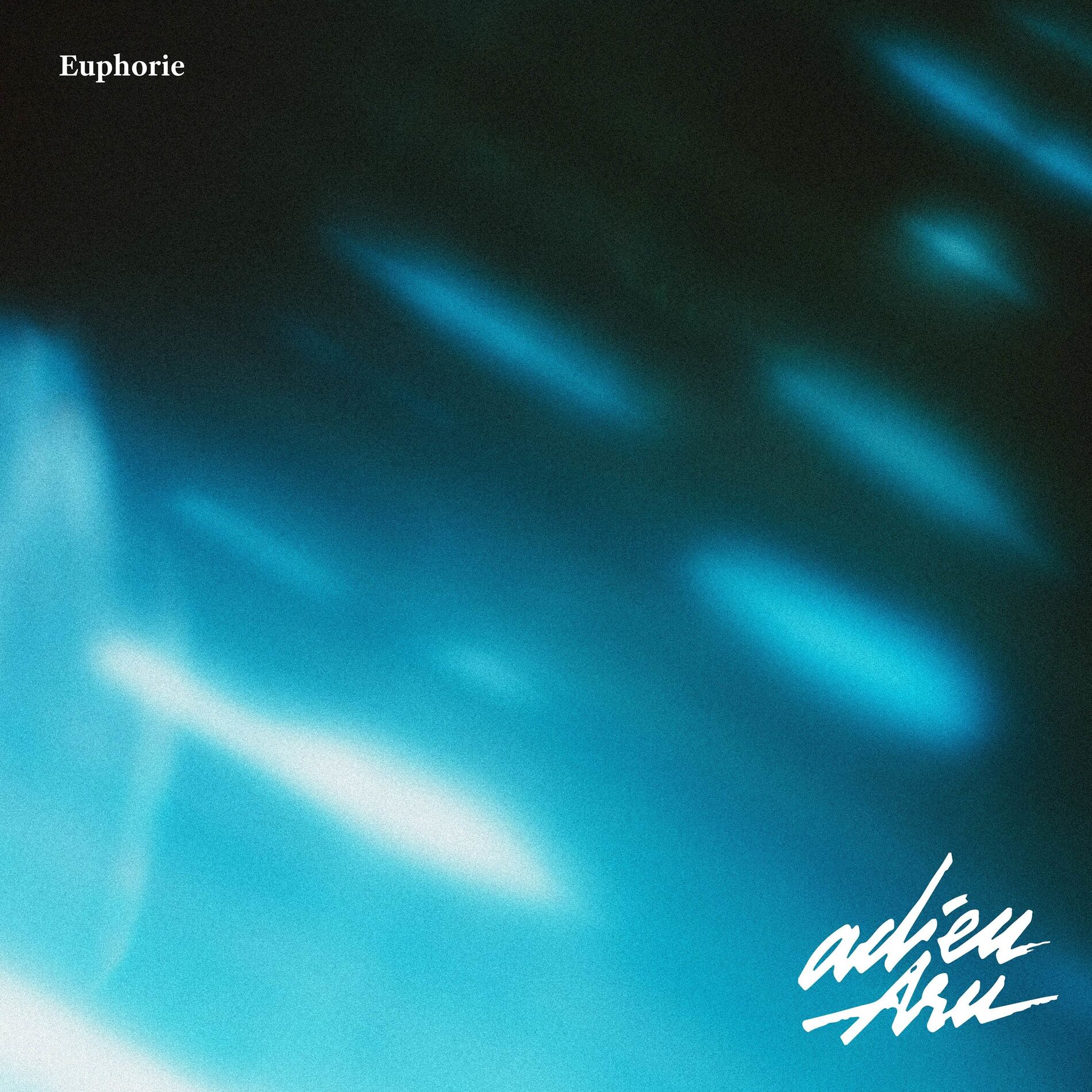 Album cover of Euphorie