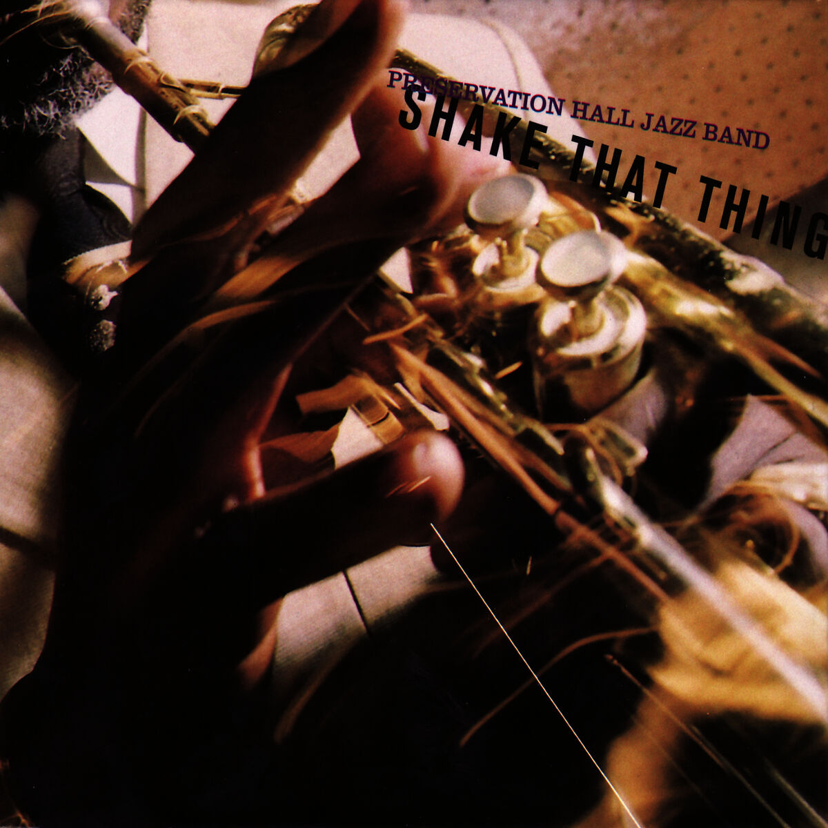 Album cover of Shake That Thing