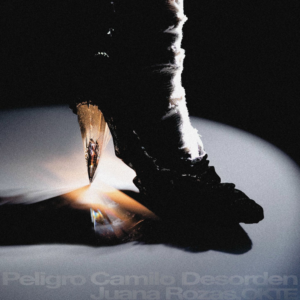 Album cover of Peligro