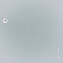 Cover of Snow Flower