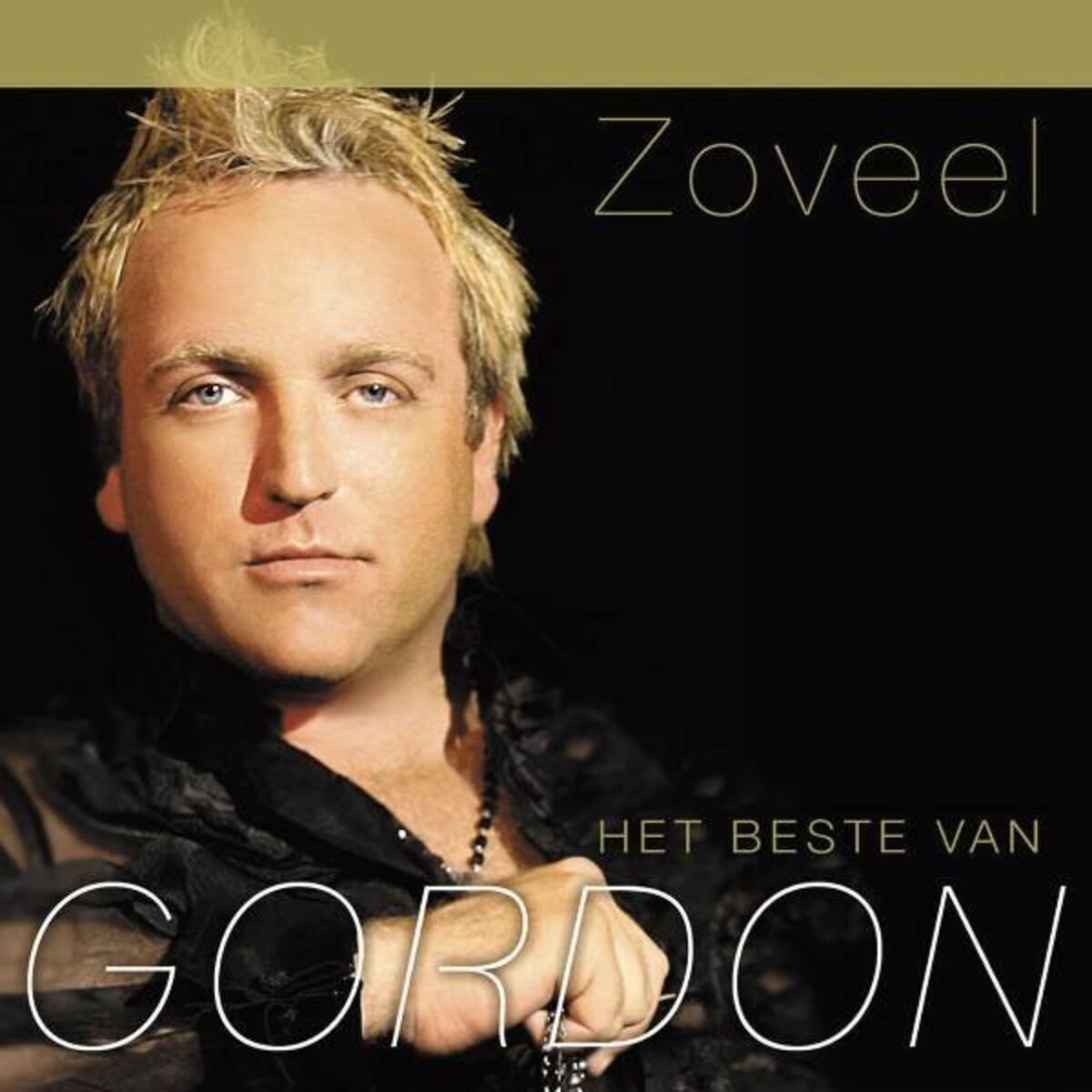 Album cover of Zoveel (Het beste van Gordon)