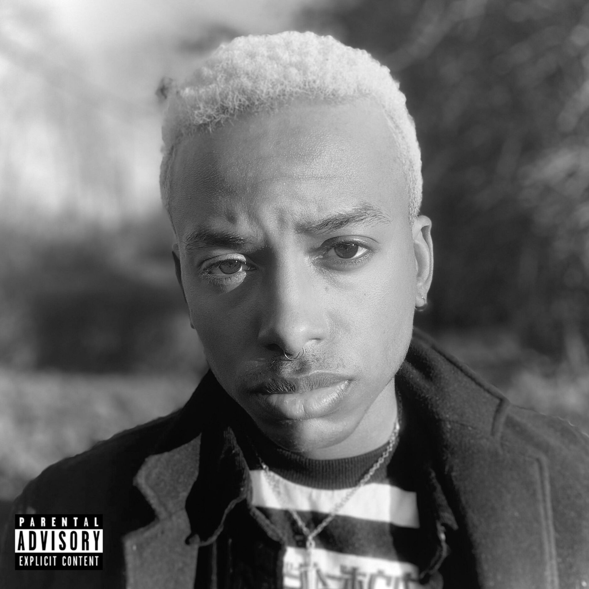 Album cover of Silver Sabre