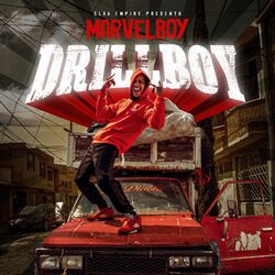 Cover of Drillboy