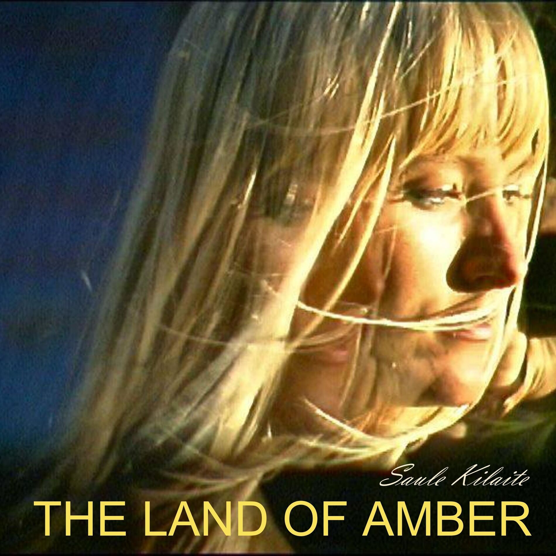 Album cover of The Land Of Amber