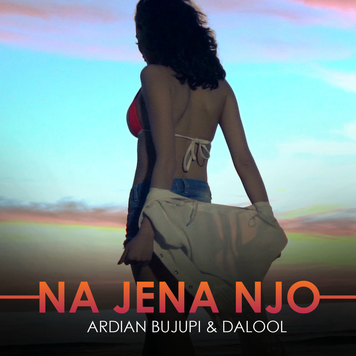 Album cover of Ardian Bujupi ft. Dalool - Na jena njo