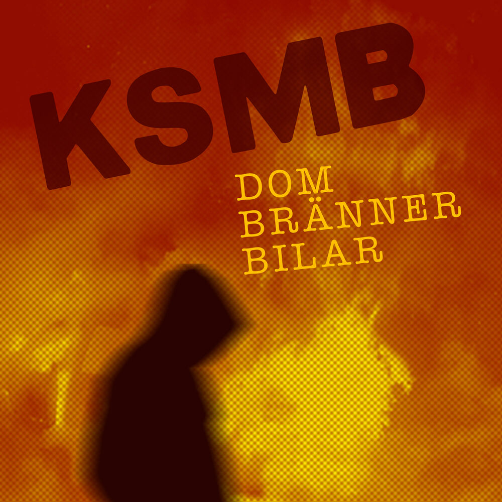 Picture of Dom bränner bilar