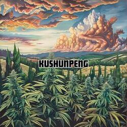 Cover of Kushunpeng