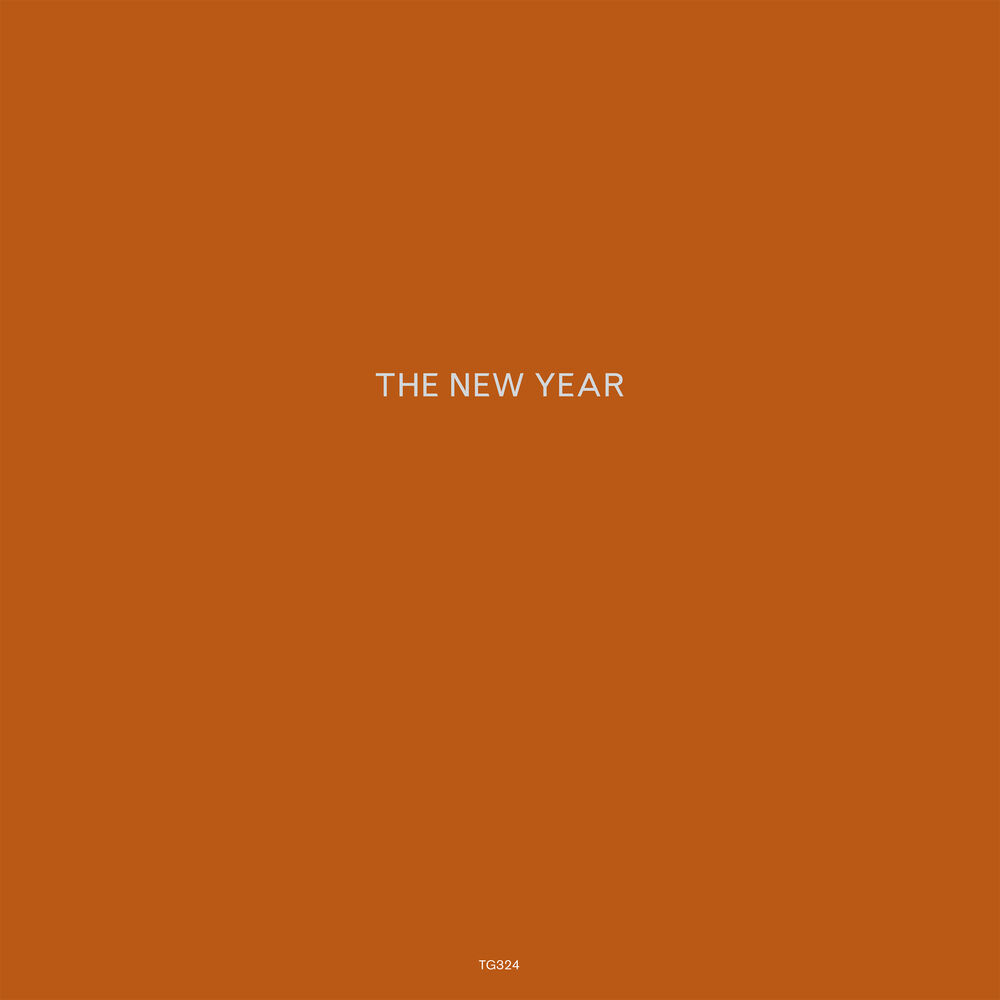 Picture of The New Year