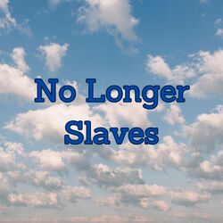 Cover of No Longer Slaves