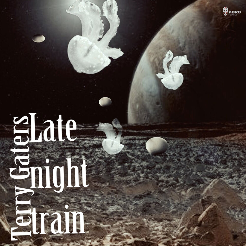 Picture of Late Night Train