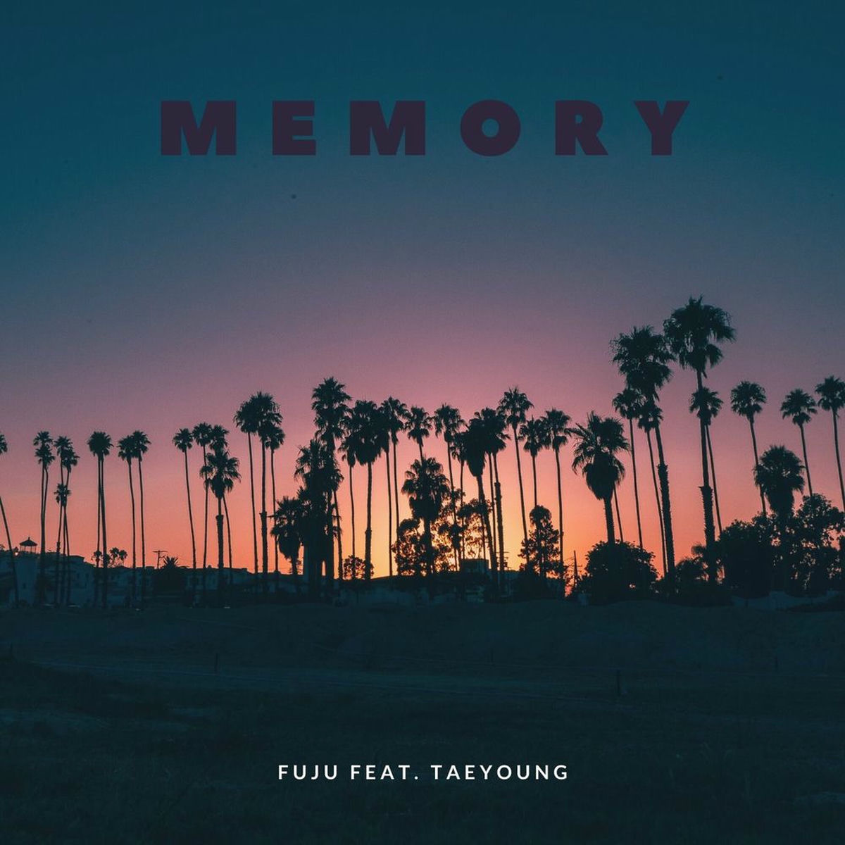 Album cover of Memory