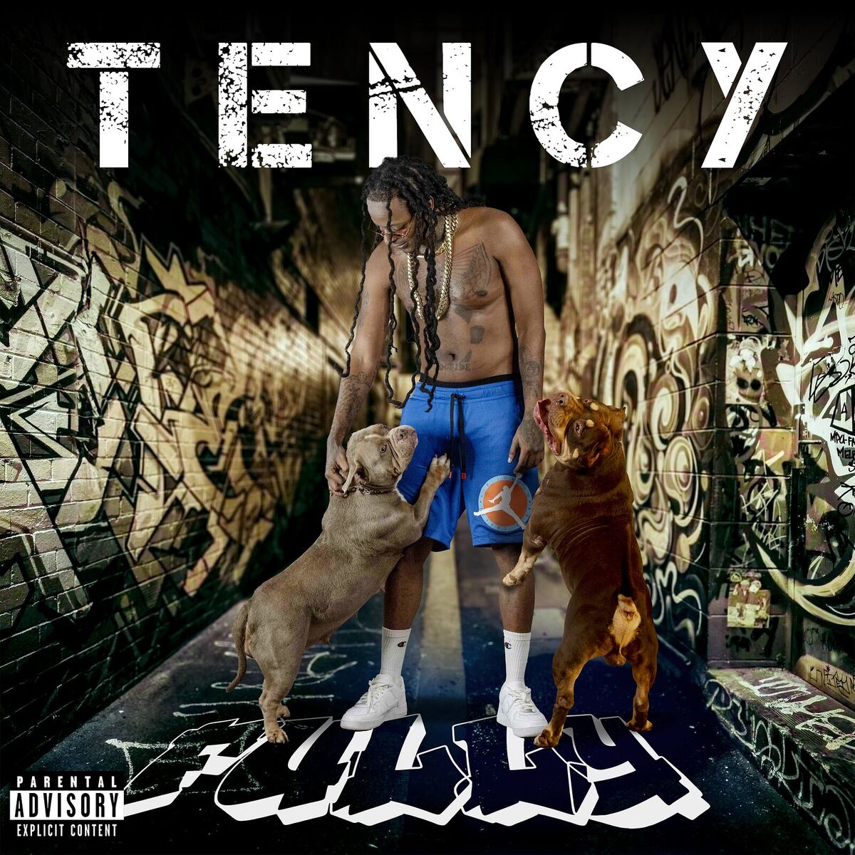 Album cover of FULLY