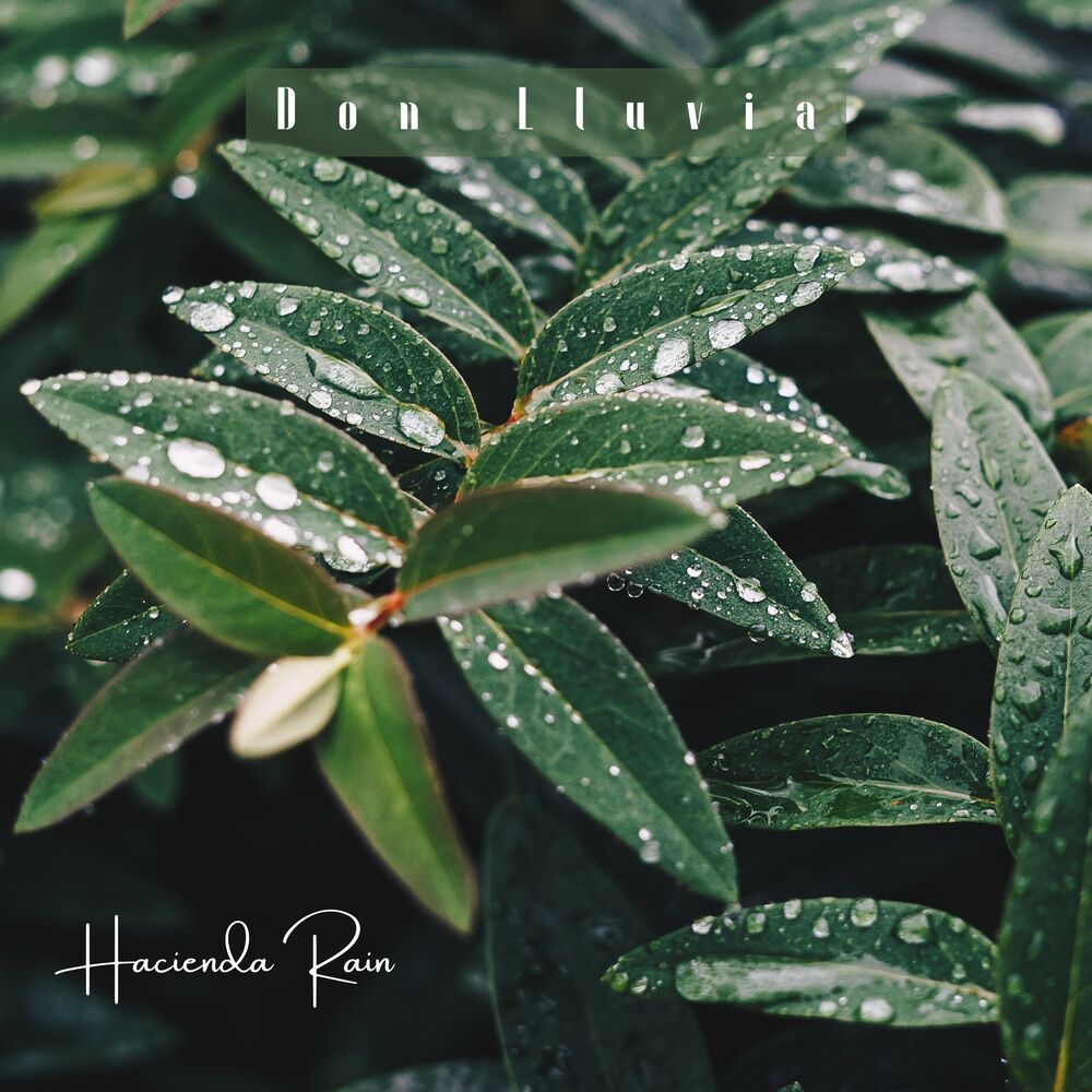 Picture of Hacienda Rain