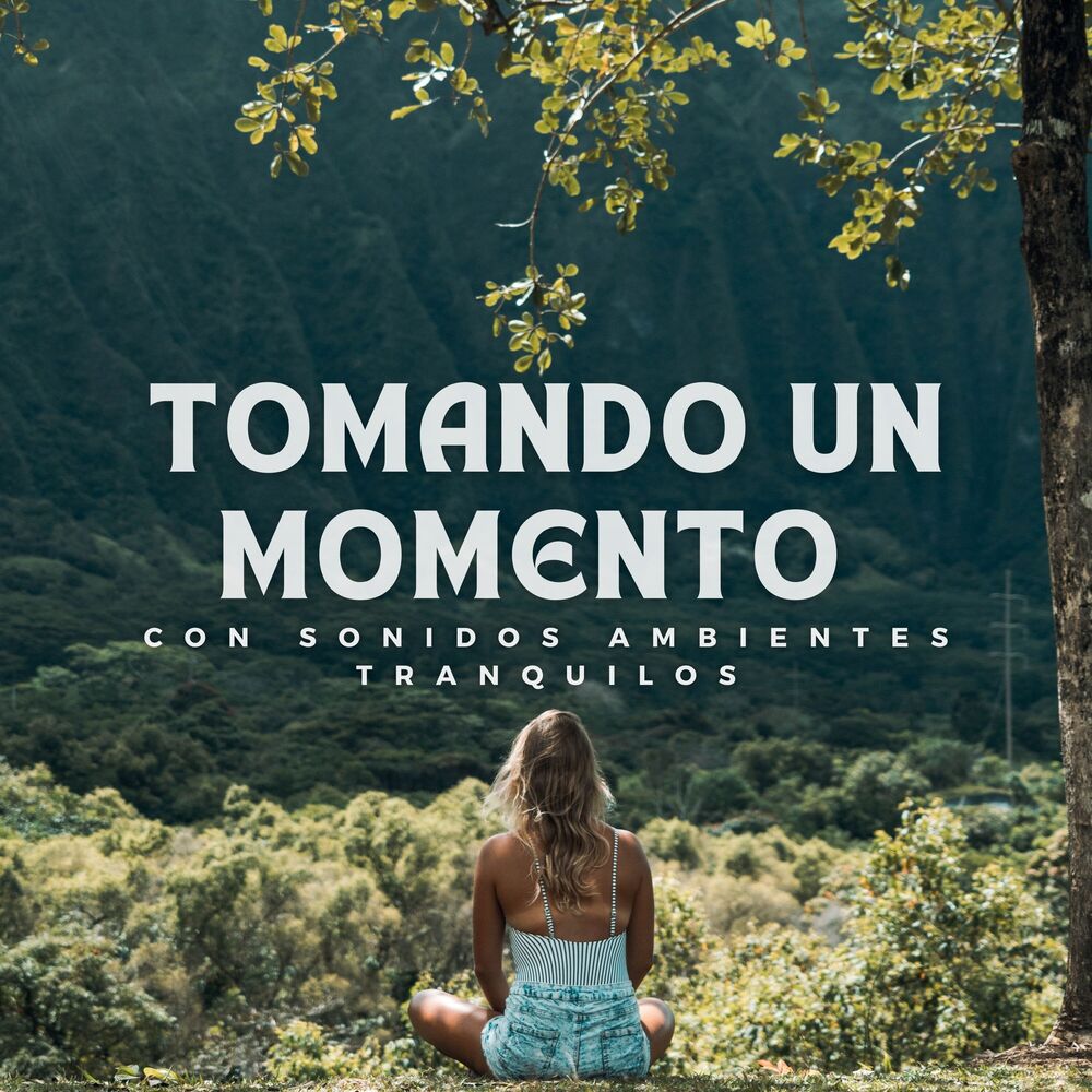Picture of Tomando un Momento con Sonidos Ambientes Tranquilos