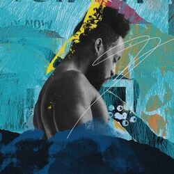 Cover of Lights