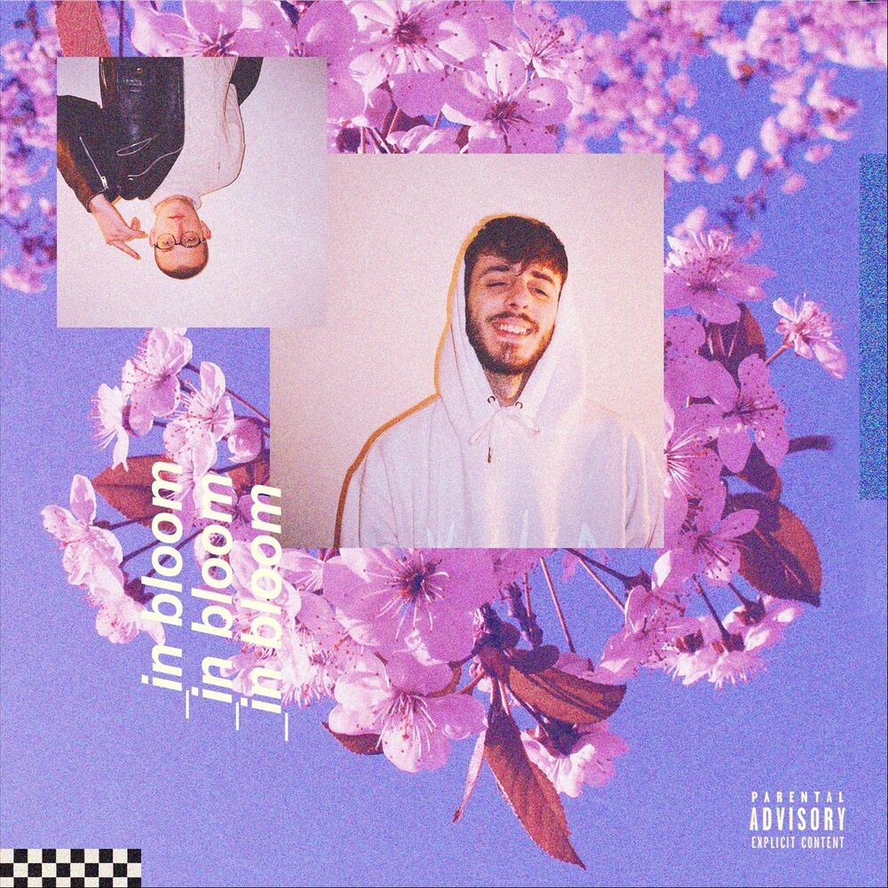 Picture of In bloom