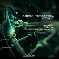 Cover of Havoc