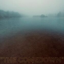 Cover of The Comedown