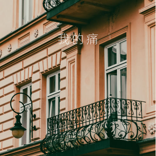 我的痛