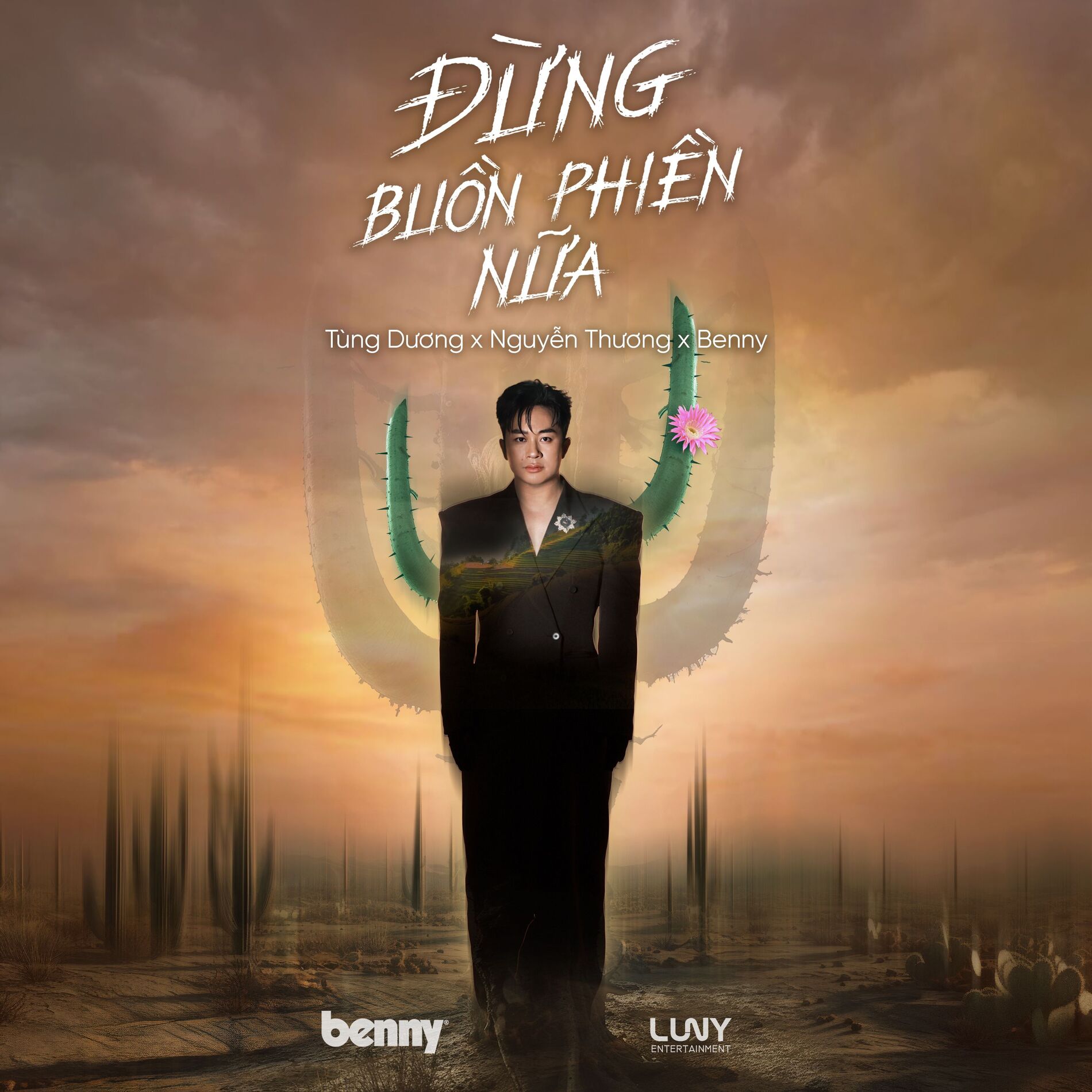 Album cover of Đừng Buồn Phiền Nữa