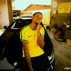 Cover of Tudo Tão Novo