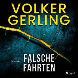 Falsche Fährten (Thriller)