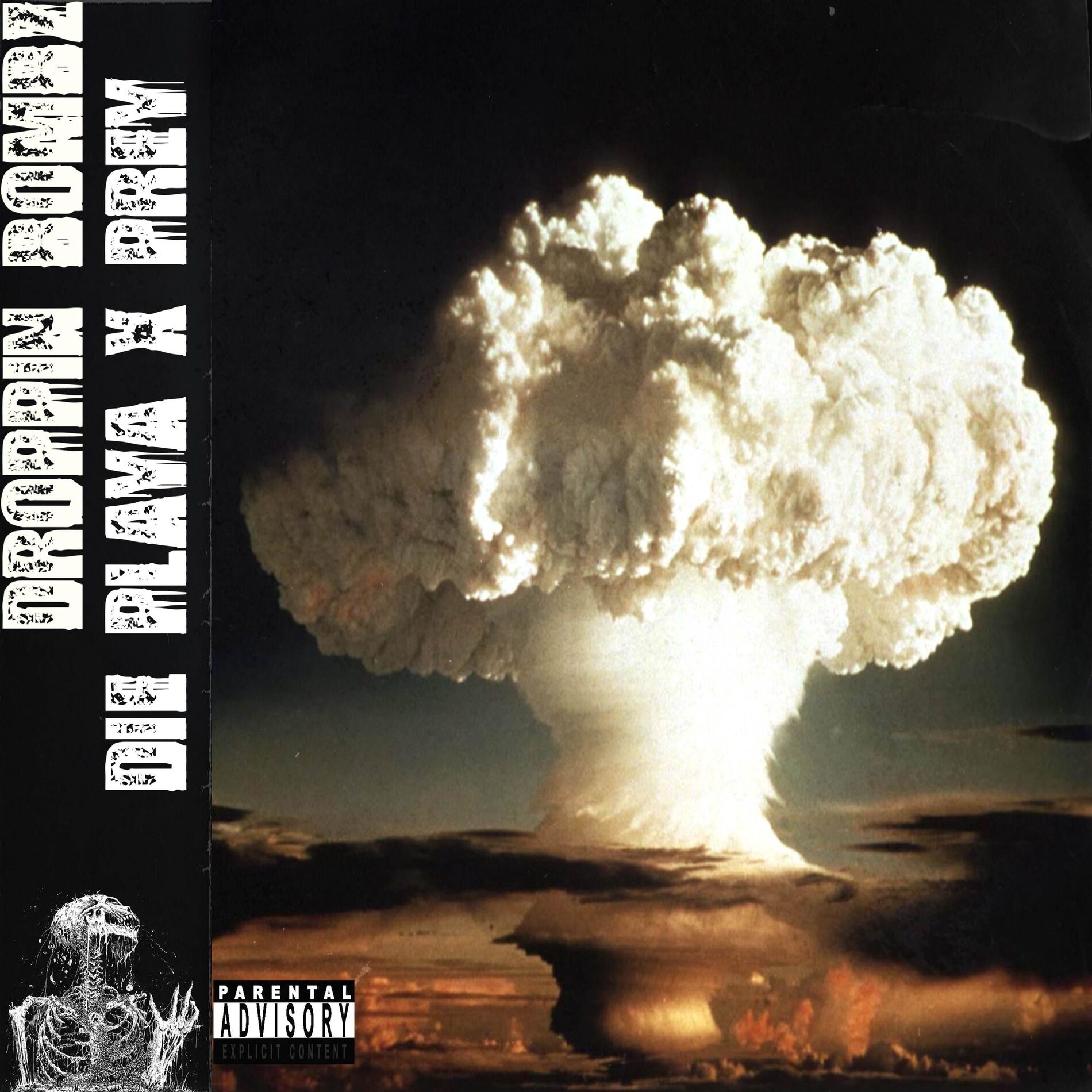 Album cover of DROPPIN BOMBZ