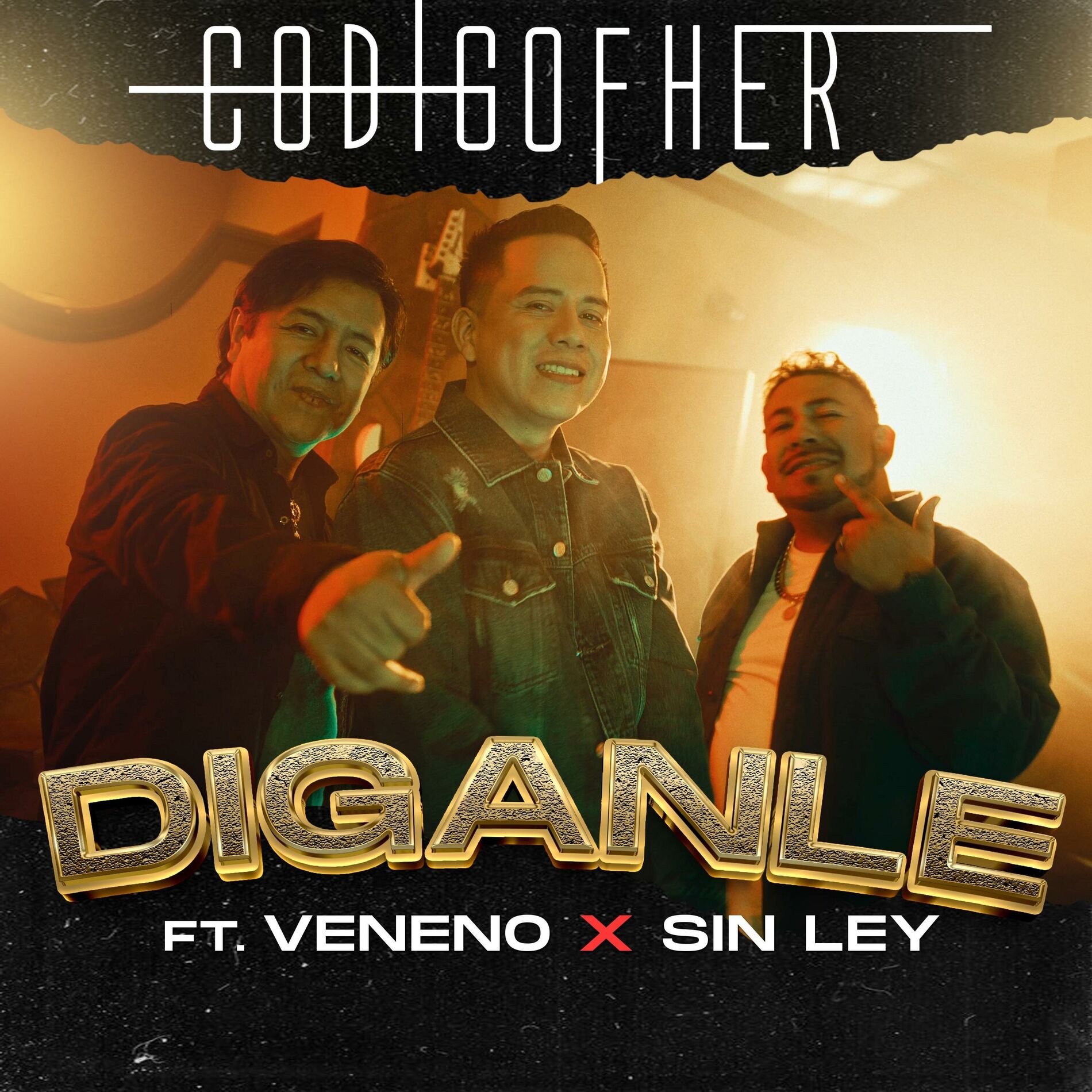Album cover of DIGANLE