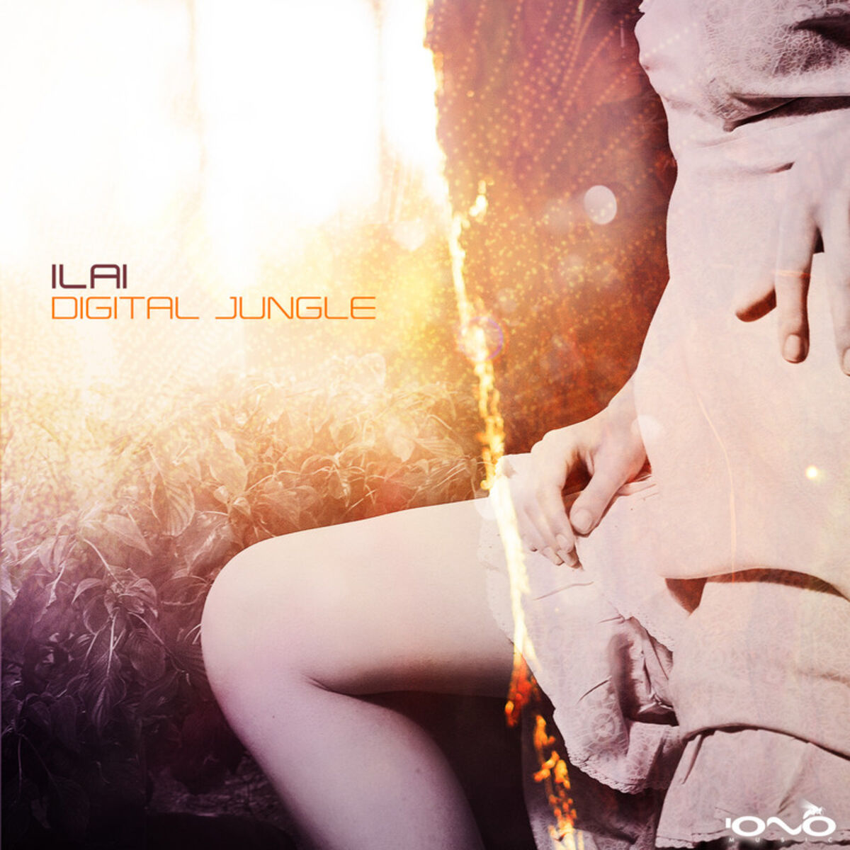Album cover of Digital Jungle