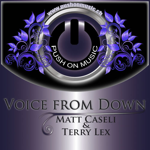 Voice from Down