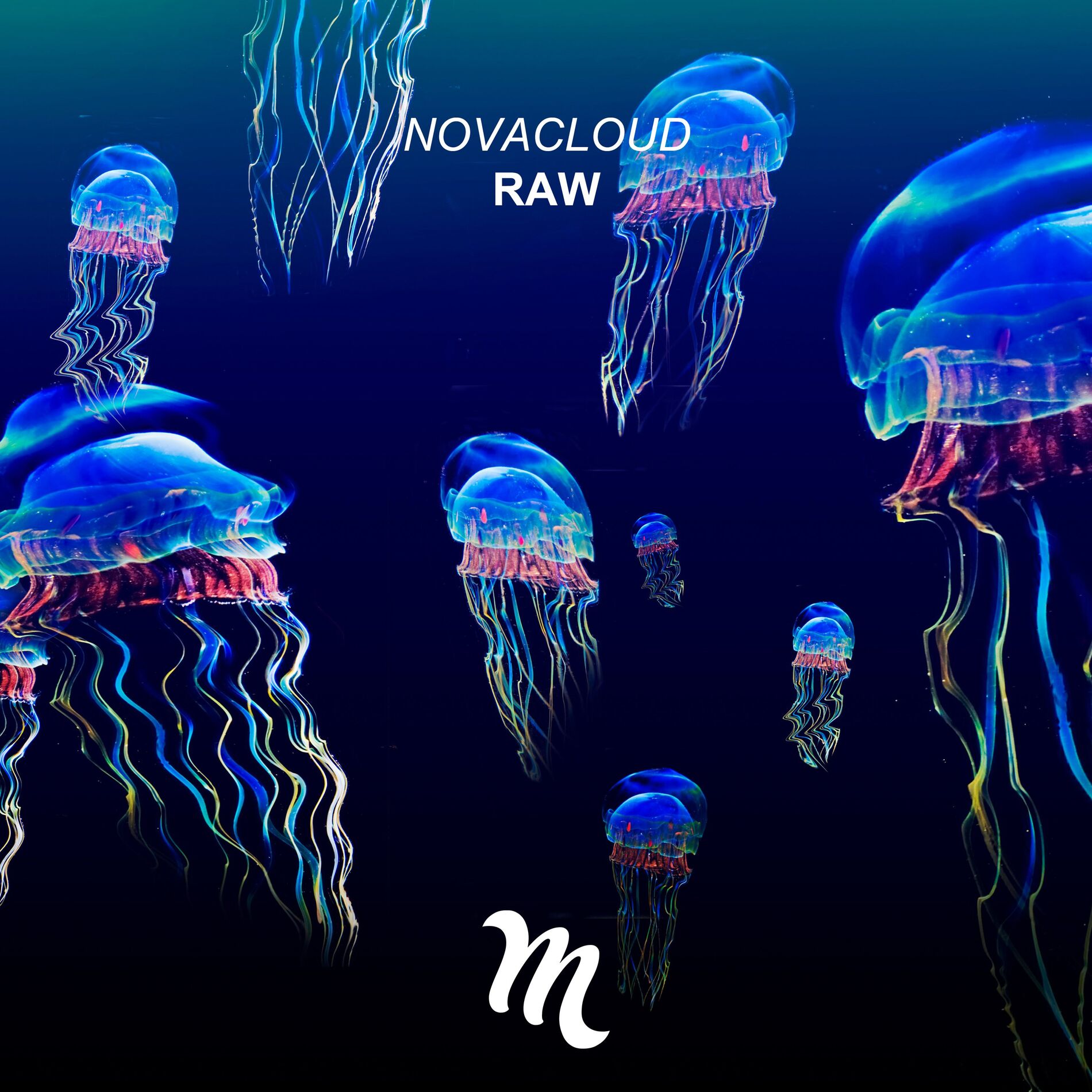Album cover of Raw