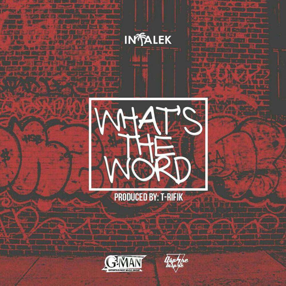 Picture of What's the Word