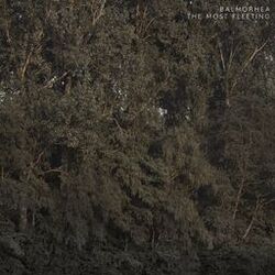 Cover of The Most Fleeting