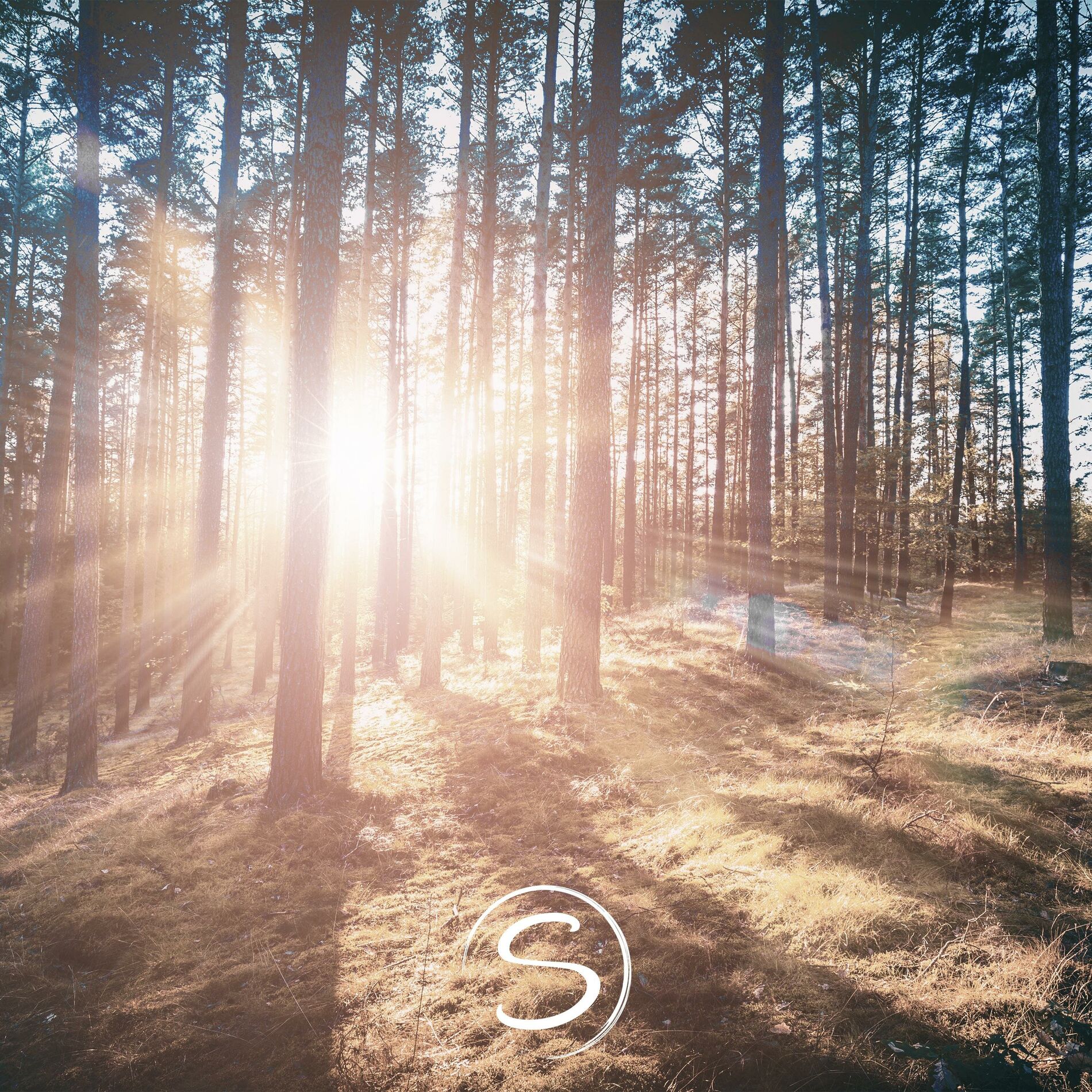 Album cover of Daybreak