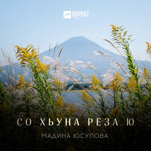 Со хьуна реза ю