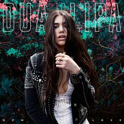 Cover of New Love (Remixes)