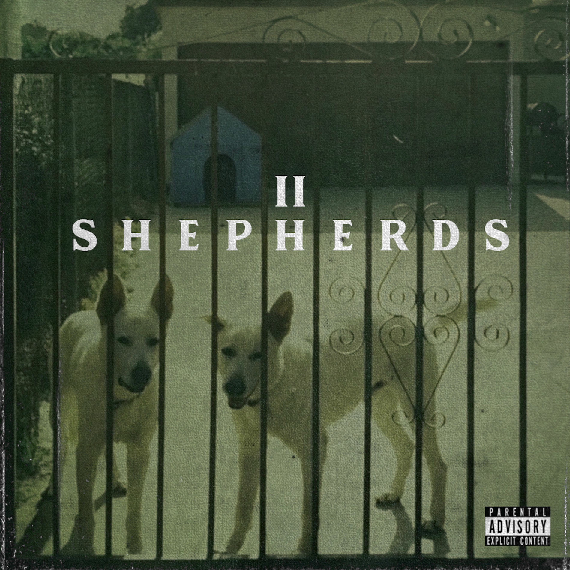 Album cover of II Shepherds