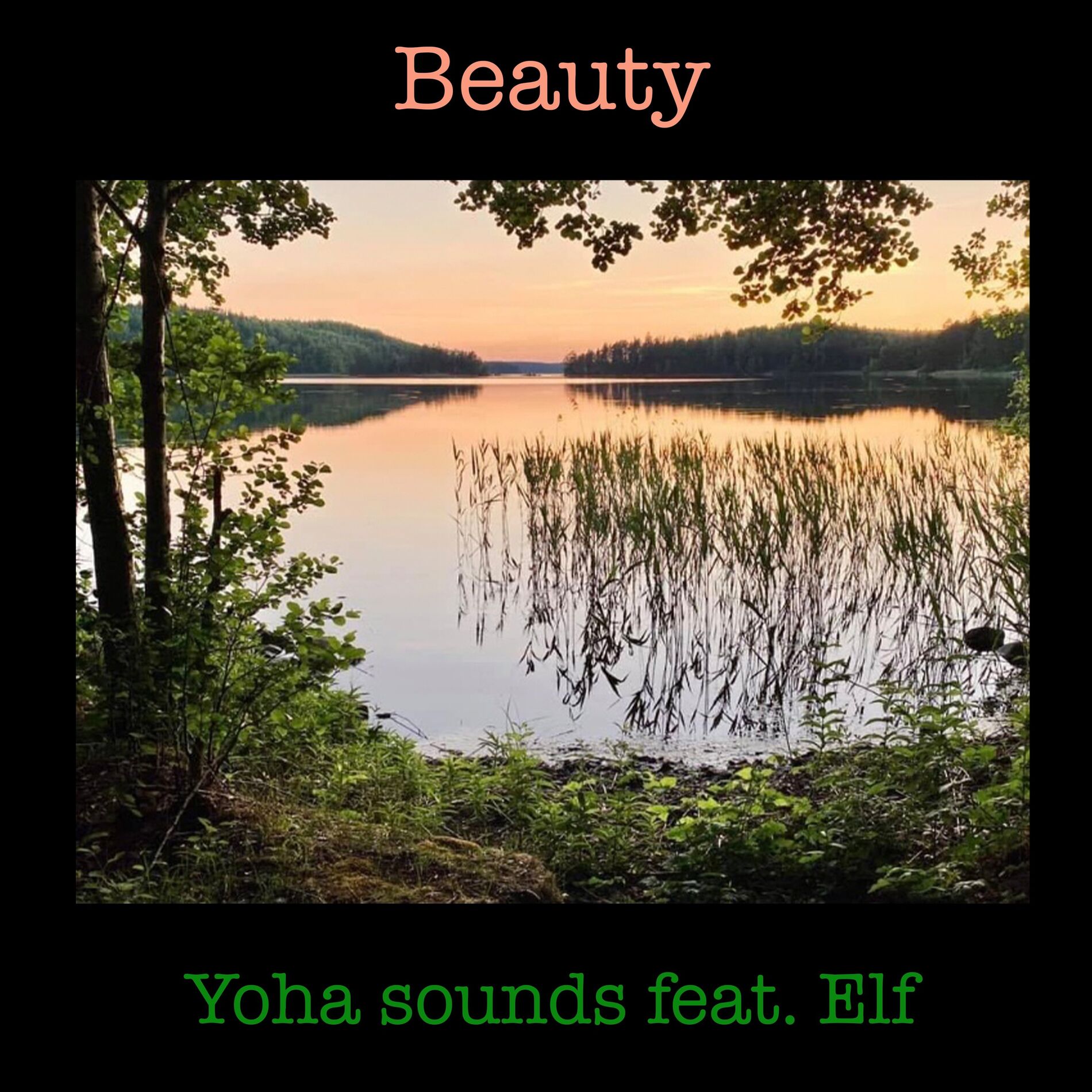 Album cover of Beauty