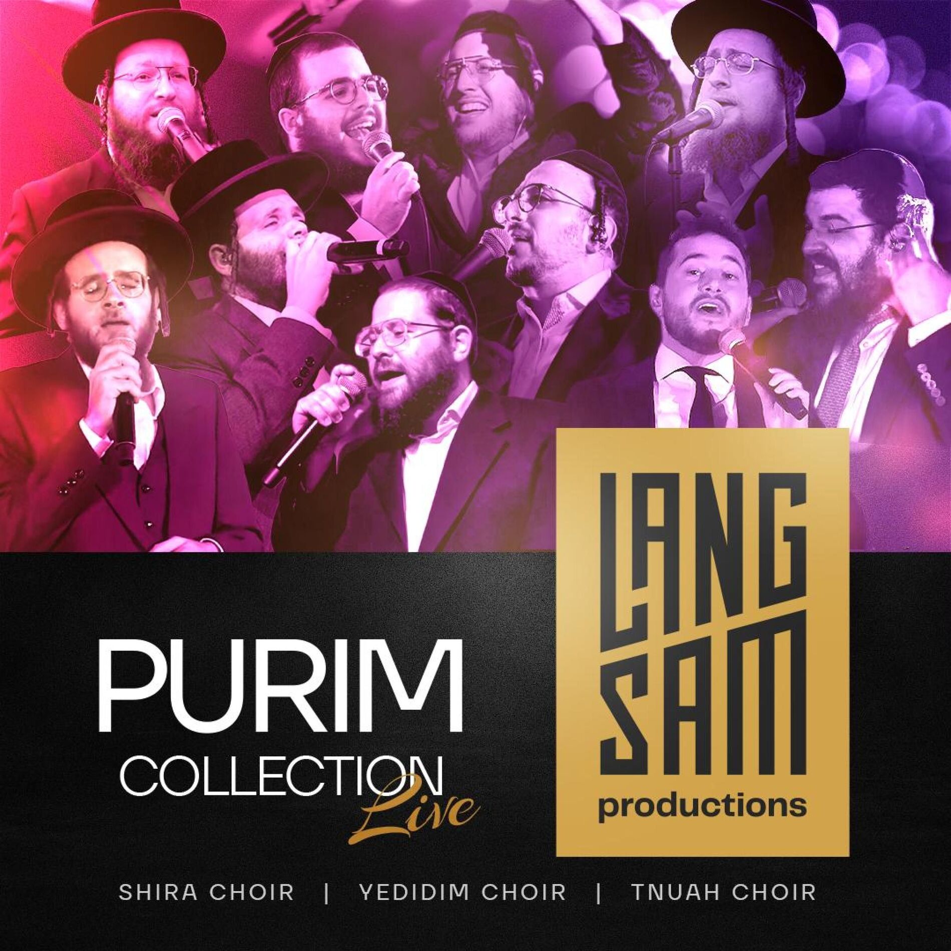 Album cover of 2025 Purim Collection