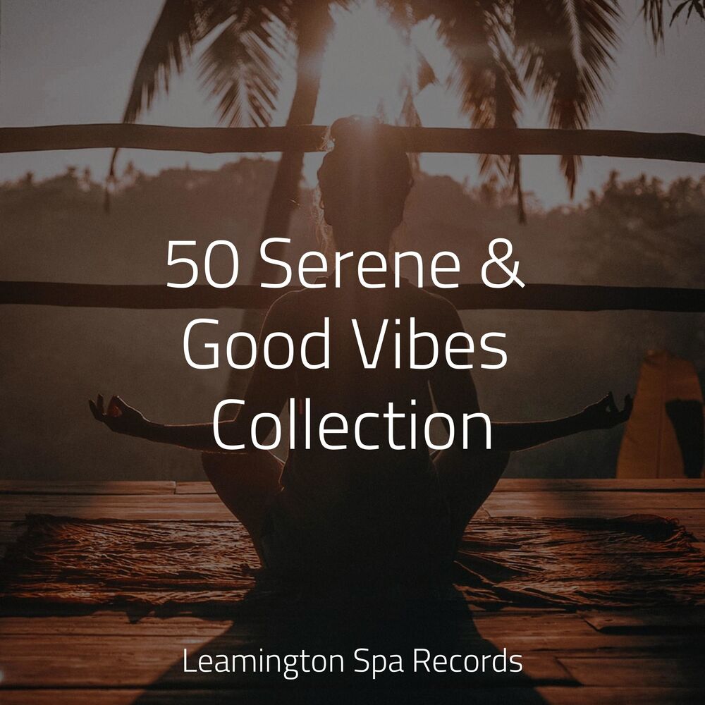 Picture of 50 Serene & Good Vibes Collection