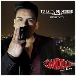 Cover of Tu Falta de Querer