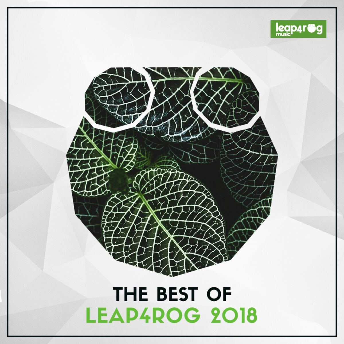 Album cover of The Best Of Leap4rog 2018