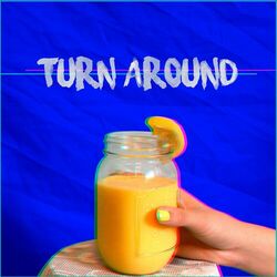 Cover of Turn Around