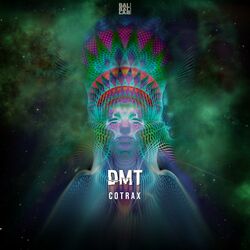 Cover of DMT