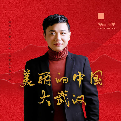 美丽的中国大武汉