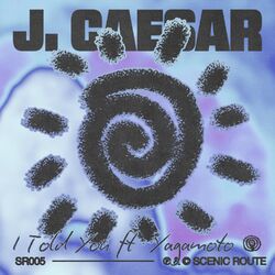 Cover of I Told You