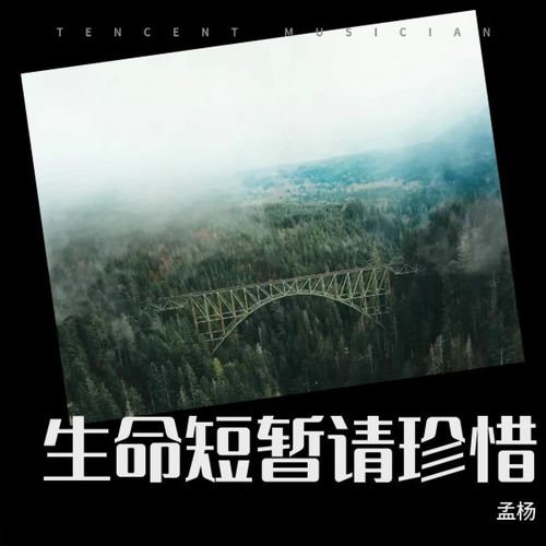 生命短暂请珍惜