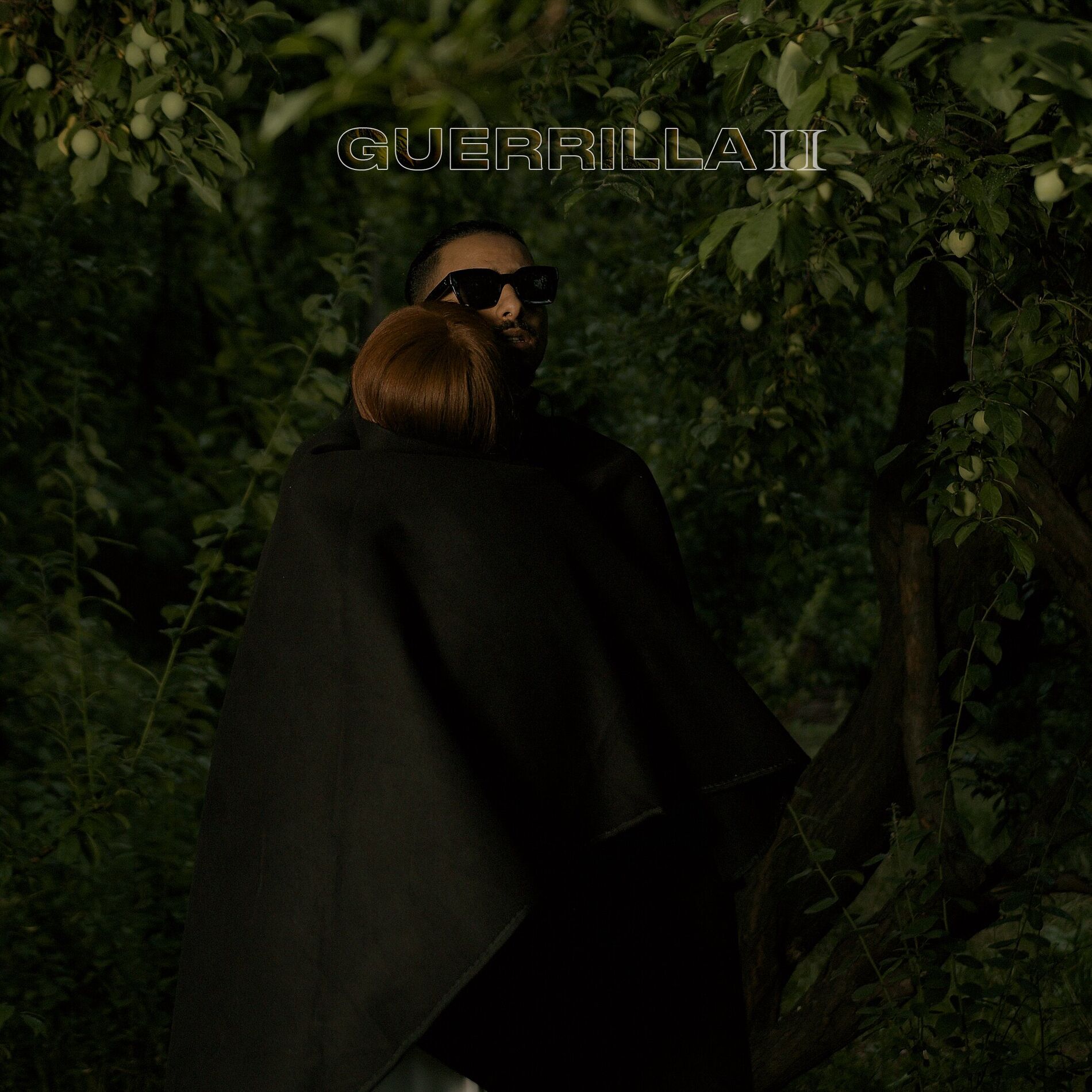 Album cover of Guerrilla, pt. 2