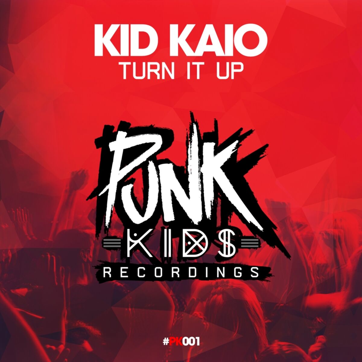 Album cover of Turn It Up